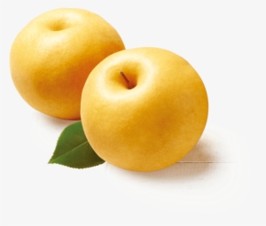 Asian Pear Png #229975