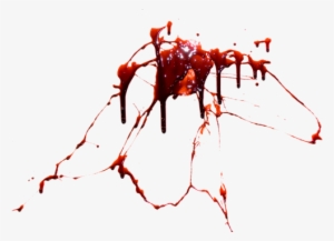 Blood Splatter - Blood Png #229995