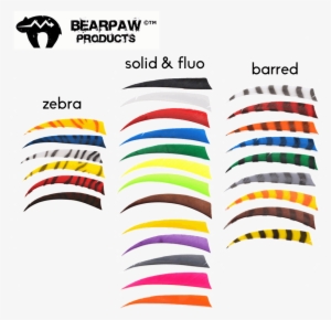 Bearpaw Clipart Bearpaw Bogentandler Gmbh Brand - Bearpaw #2200657