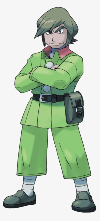 Pokemon Frontier Brain Brandon #2200748