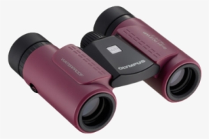 Rc Ii Wp, Olympus, Compact Binoculars - Olympus - Binoculars 8 X 21 Rc Ii Wp - Magenta #2201528