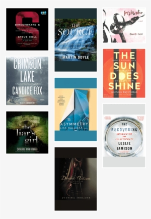 New And Interesting Audiobooks - Liar's Girl #2202462