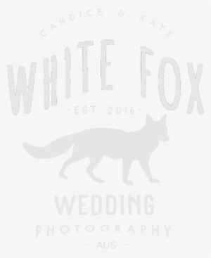 Fox Shine Png #2202562