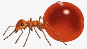Ants Clipart Transparent - Honey Pot Ant Clip Art #2202885