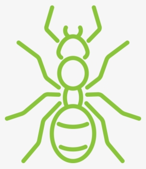 Why You Might Have Ants - Ant #2202983