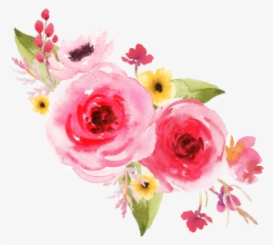 Photographers - Personal Progress #2203365