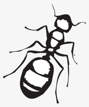Ant Clipart Black And White #2203471