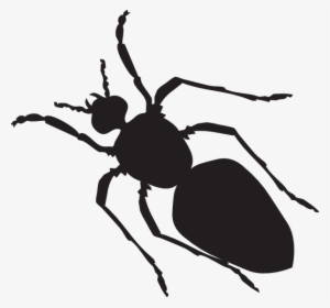 Fat Full-black Ant Silhouette Tattoo Design - Ant Body Shape #2203516