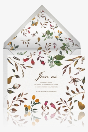 Happy Menocal #2205994