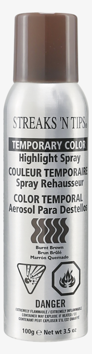 Temporary Highlight Color Spray By Streaks N' Tips - Streaks N Tips Temporary Color Highlight Spray Burnt #2207002