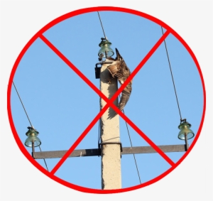 New Requirements To Prevent The Bird Electrocution - Хищные Птицы Нижегородской Области #2208067