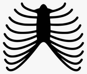 Png File - Skeleton Rib Png #2208319