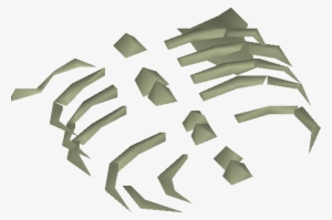 Small Fossilised Ribs Detail - Wiki #2208612