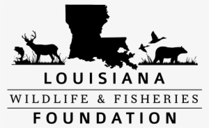 Louisiana Wildlife And Fisheries Foundation - Louisiana Home Black And White Pillow Case #2211660