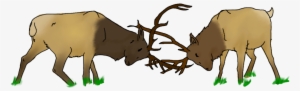 Elk Fighting By Destynee33 On Deviantart - Elk Fighting Drawing #2211807