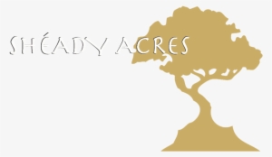 Sheady Acres #2211909