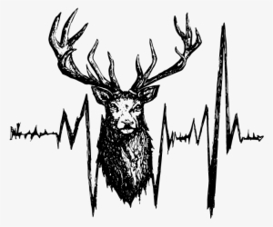 Why The Elk - Permalink #2212268