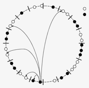 Finger And Successor Pointers - Gold #2212332