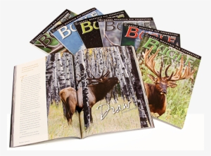 Bugel Magazine #2212596 Bugel Magazine #2212596
