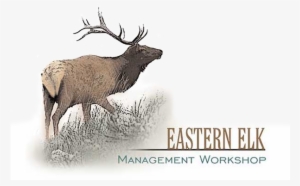 22nd Annual Eastern Elk Management Workshop - Eastern Elk #2212823