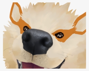 Close Up - Portable Network Graphics #2213543