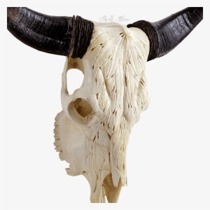 Real Skull Png For Kids - Skull #2214417