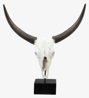 Peralta Decorative Resin Cow Skull - Trent Austin Design Decorative Resin Cow Skull #2214439