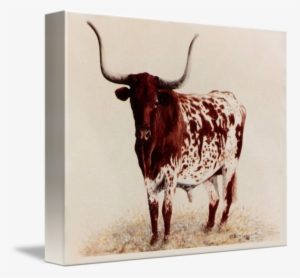 "longhorn Painting" By Didi Higginbotham, Fort Worth - Canvas #2214513