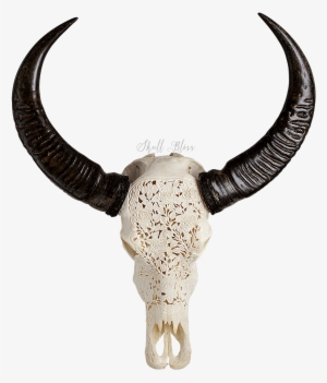Decorative Skull Head Cow #2214514