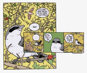 First - Falseknee Comics #2214929