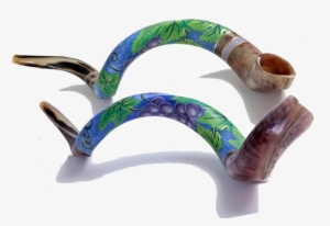 Hand Painted Kosher Yemenite Kudo ,kudu Horn Shofar - Shofar #2215458