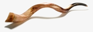Shabbat - Yom Teruah Shofar Png #2215527