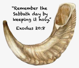 Shofar And Scriptures - Notes From The South Bay #2215578