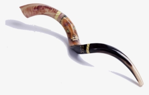 Back To Top ^ - Shofar #2216103