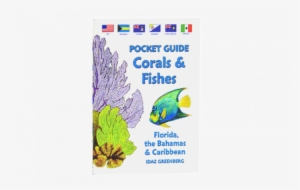 Innovative Concepts Waterproof Pocket Guide To Coral #2217430