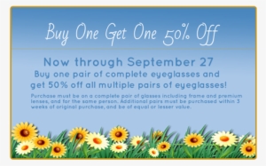 Summerflowers - African Daisy #2219990