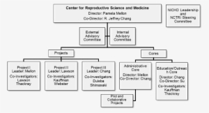 Crsmorgchart - Uc San Diego Organisational Chart #2220227