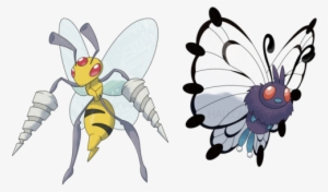 Mega Beedrill And Mega Butterfree - Pokemon Butterfree Mega Evolution #2222633