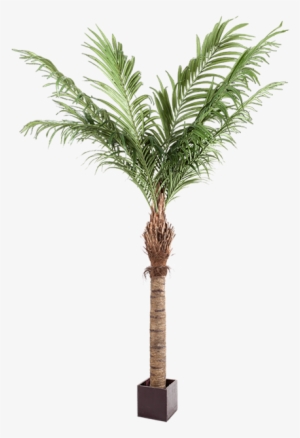 Palmera Artificial Alt - Palm Trees #2222970