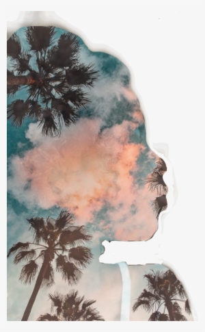 Fondos De Pantalla Palmeras #2223134