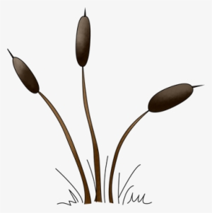 The Sussex Cat Tail Png - Cattail #2223272