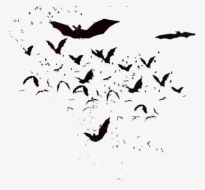 Clip Free Library Pachislot Ii Artwork Crypt Com A - Bats Transparent #2223277