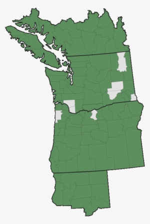 More Information - - Pacific Northwest English #2223406