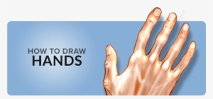 How To Draw Hands Tutorial #2226495
