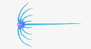 Jellyray Fauna - Fauna #2227044