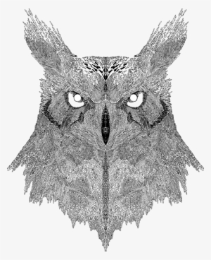 Notebook Design For Adult Swim - Eastern Screech Owl #2228359