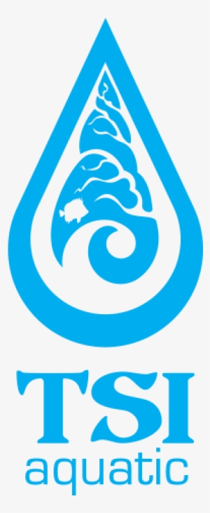 Overview - Curriculum Research & Development Group #2236424