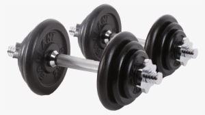 Dumbells Transparent Background Image - Transparent Background Weights Transparent #2237716