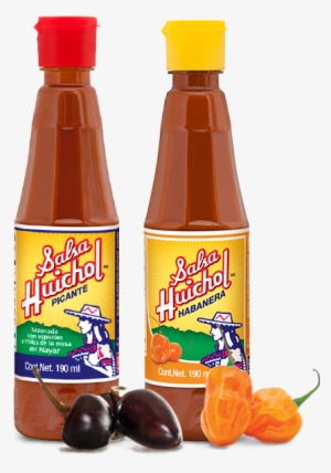 Salsa Huichol #2238739