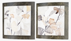 Ginkos - Convex Pk/2 - Pk #2239621